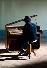 Blackbirds and the Sun of October